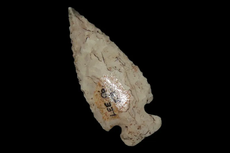 2" Scallion Bird Point, Lee Co., Iowa from auction in Quincy, Illinois