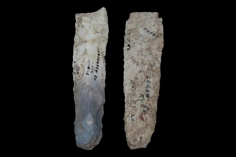 Lot of 2 Archaic Points, Both Nebo Hill Culture from auction in Quincy, Illinois