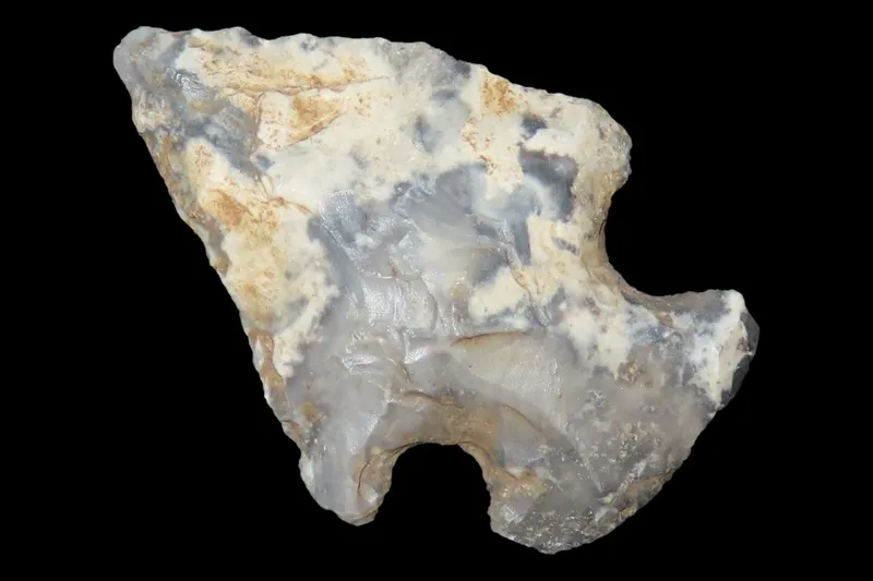 1 1/8" Koster Bird Point, Greene Co., Illinois from auction in Quincy, Illinois