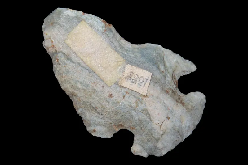 2 1/16" Indiana Green Dovetail, Central Indiana from auction in Quincy, Illinois
