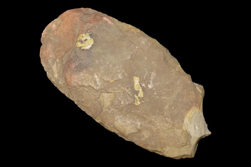 7 1/2" Polished Flint Spade, St. Charles Co., Missouri, Found by Ronald Knowles from auction in Quincy, Illinois