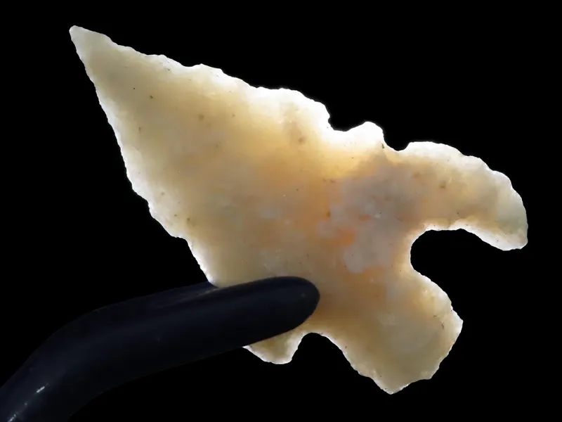 Outstanding Texas Bird Point, Charcos Serrated Eccentric Arrowhead. Translucent. Found in Uvalde County, TX. from auction in Quincy, Illinois