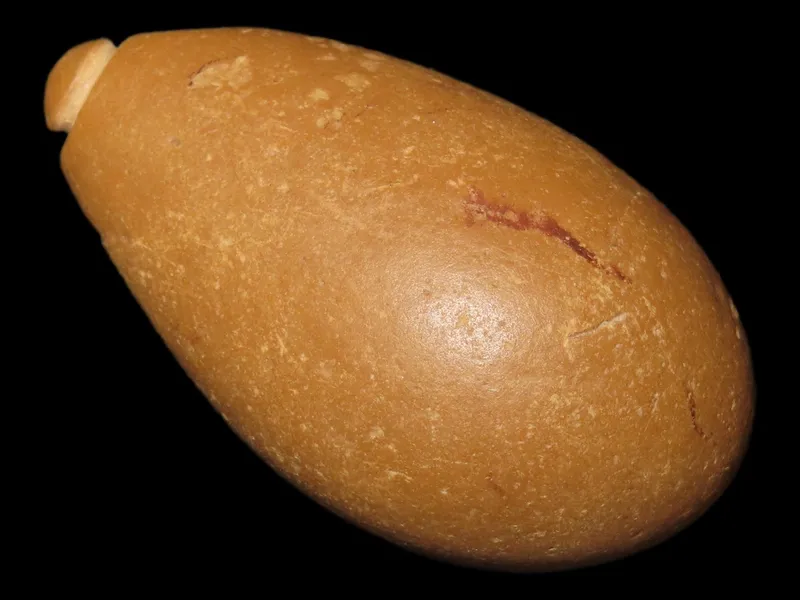 2 1/4" Grooved Quartz Plummet, Brown Co. Illinois. Motley COA. Well shaped with nice polish and no brainer patina. Great Example! from auction in Quincy, Illinois