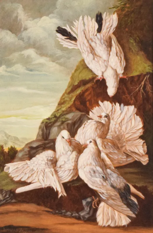 Irmgard Arvin Oil on Canvas White Doves from auction in Lincoln Park, New Jersey