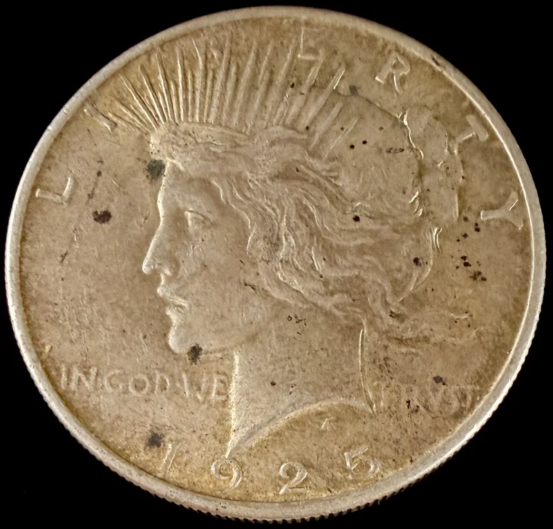 1925 US Peace Silver Dollar from auction in Campbell, New York