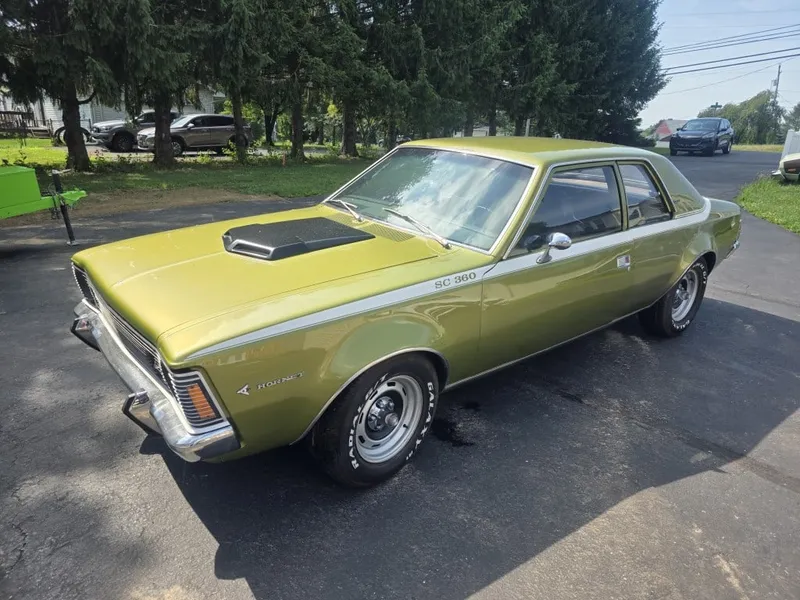 Hornet SC 360 AMC 1971 from auction in Allentown, Pennsylvania