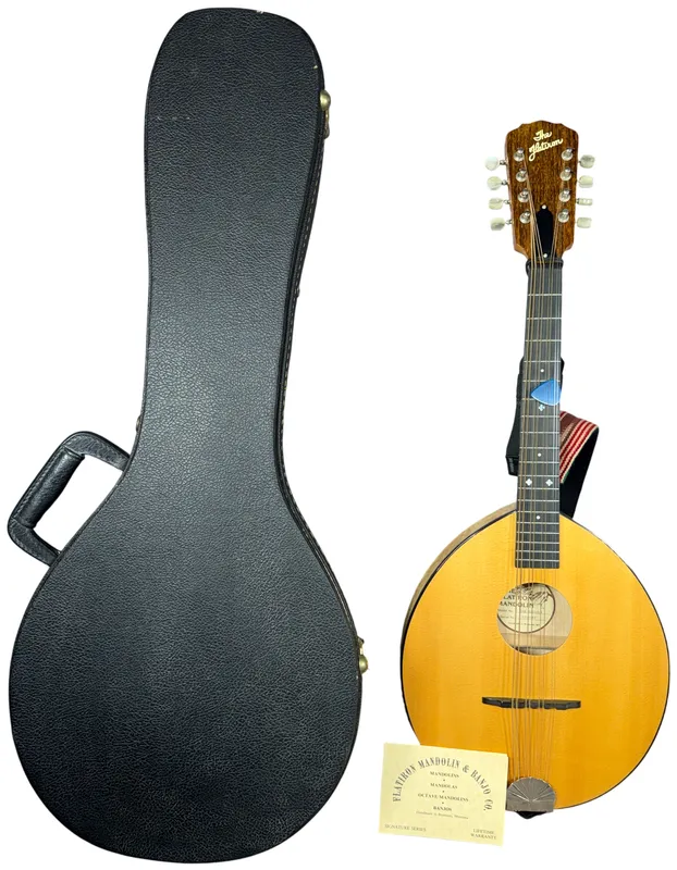 Flatiron Model 2MB Birdseye Maple Mandola with Hardshell Case from auction in Lancaster, Ohio
