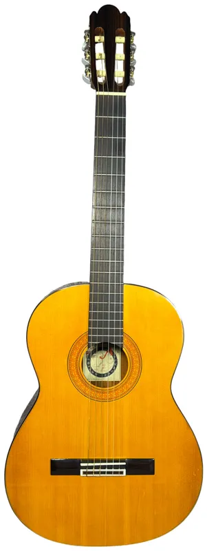Alvarez Artist Series Model 5002 Classical Acoustic Guitar from auction in Lancaster, Ohio