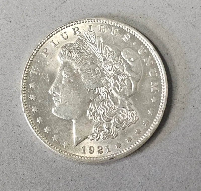 1921 Philadelphia Morgan Silver Dollar from auction in Okemos, Michigan